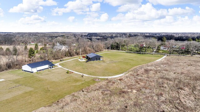 7499 Mathews Rd, Spring Arbor, MI 49283 - aerial view