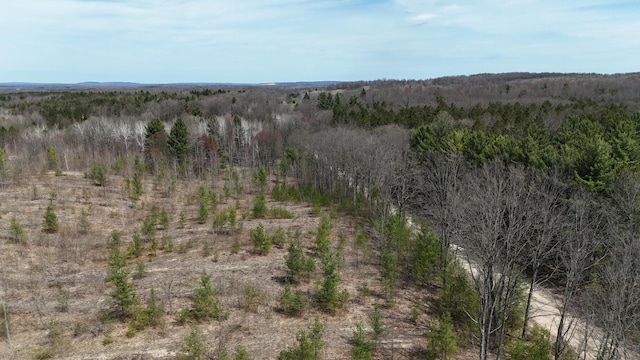 Erwin Rd, Copemish, MI 49625