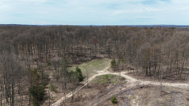 Erwin Rd, Copemish, MI 49625