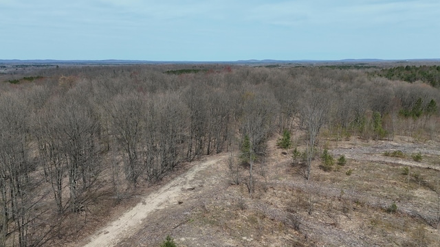 Erwin Rd, Copemish, MI 49625