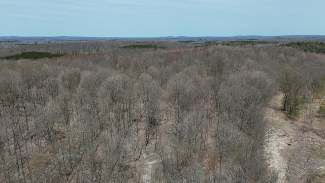 Erwin Rd, Copemish, MI 49625