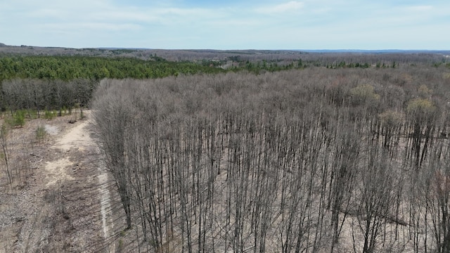 Erwin Rd, Copemish, MI 49625