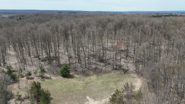 Erwin Rd, Copemish, MI 49625