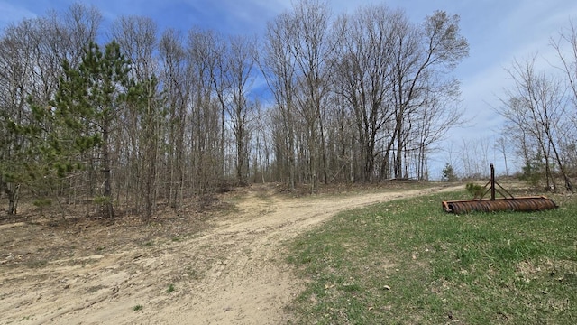 Erwin Rd, Copemish, MI 49625