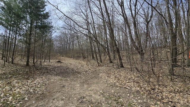 Erwin Rd, Copemish, MI 49625