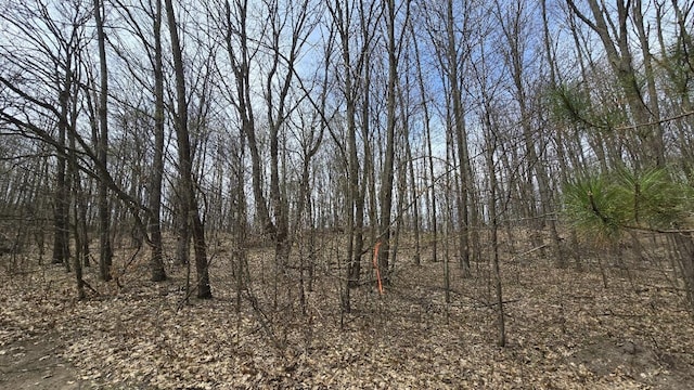 Erwin Rd, Copemish, MI 49625