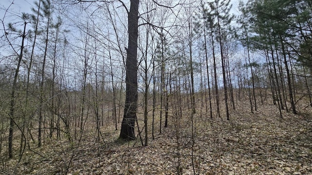 Erwin Rd, Copemish, MI 49625
