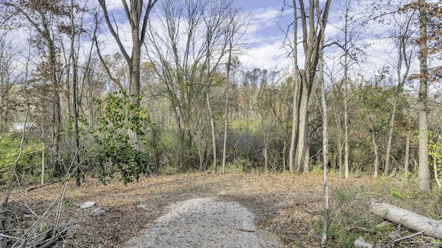 VL Hinckley Blvd, Jackson, MI 49203 - photo 2