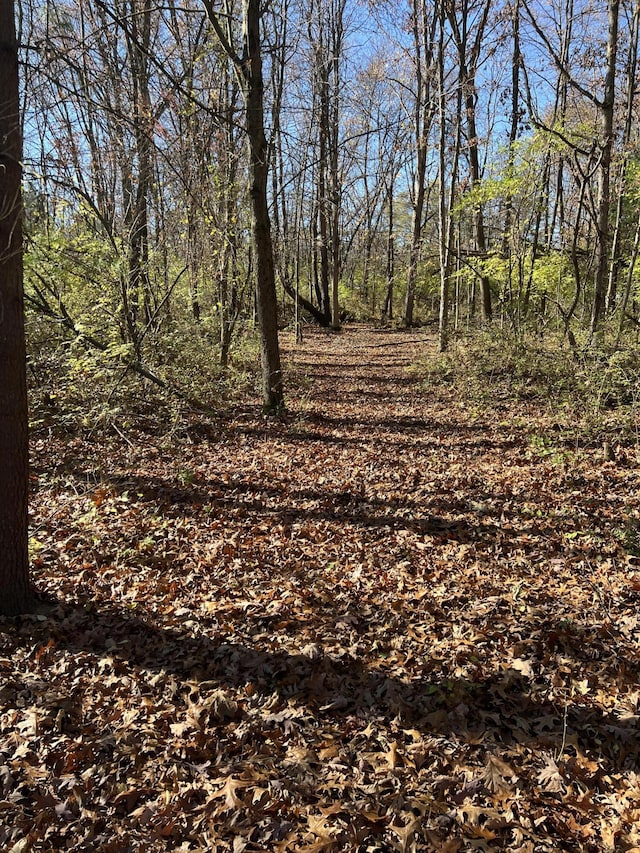 VL Hinckley Blvd, Jackson, MI 49203 - photo 4