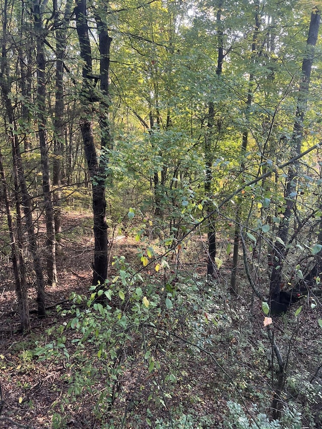 VL Hinckley Blvd, Jackson, MI 49203 - photo 5