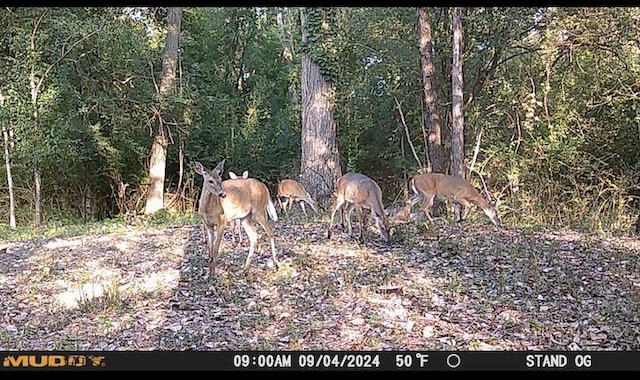 VL Hinckley Blvd, Jackson, MI 49203 - photo 15
