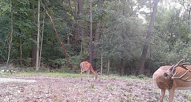 VL Hinckley Blvd, Jackson, MI 49203 - photo 16