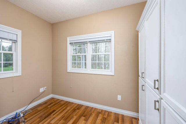 18559 Kreig Dr, Big Rapids, MI 49307 - spare room featuring baseboards, plenty of natural light, and wood finished floors