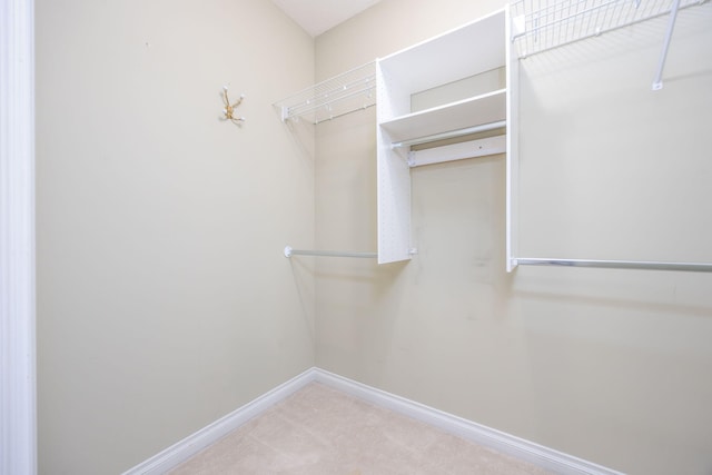 18559 Kreig Dr, Big Rapids, MI 49307 - walk in closet with carpet