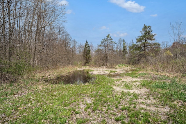 34897 Whiskey Run Rd, Mattawan, MI 49071
