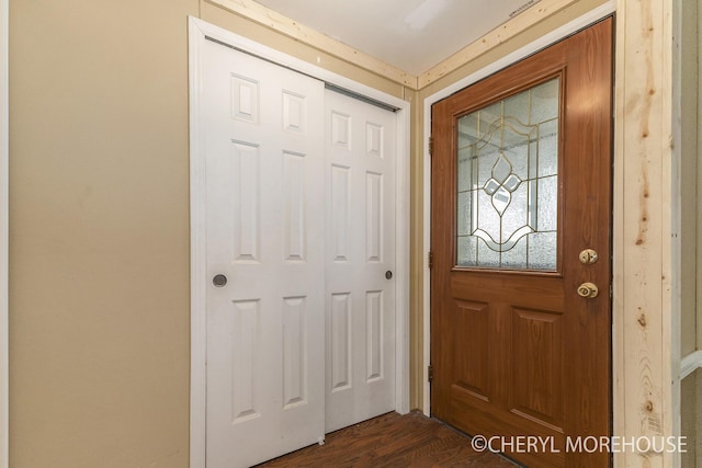 foyer entrance featuring dark wood-type flooring
