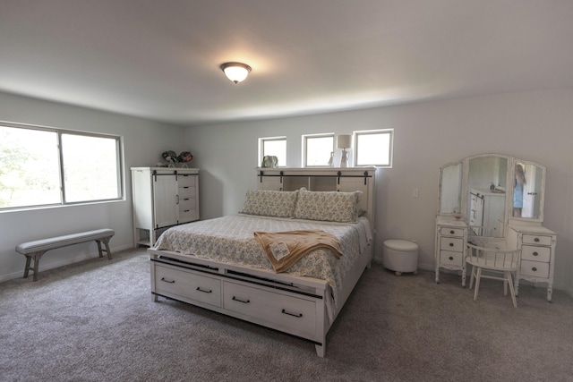 270 Fairway View Dr, Oxford, MI 48371 - view of carpeted bedroom