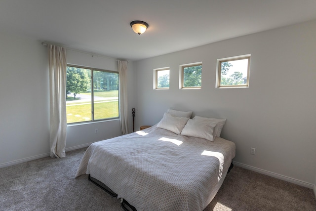 270 Fairway View Dr, Oxford, MI 48371 - carpeted bedroom with baseboards