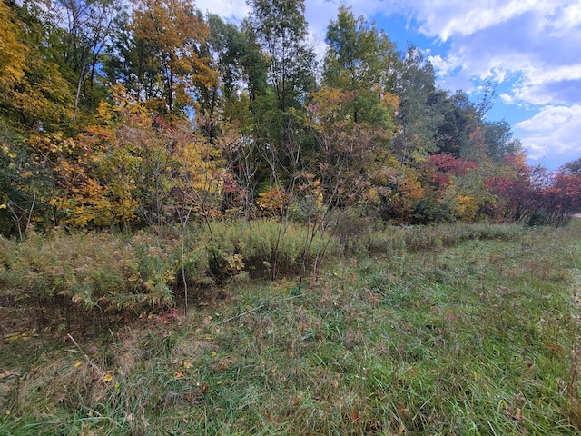 74016 Ridgeway Dr, Lawton, MI 49065 - photo 3