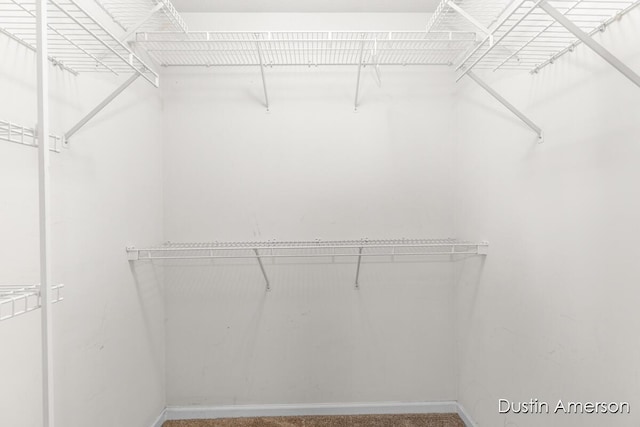 view of spacious closet