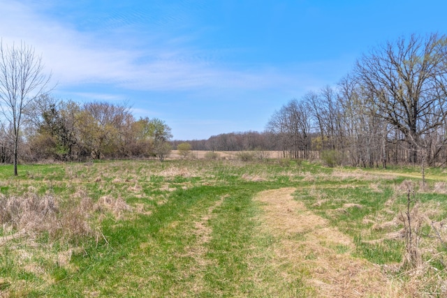 10880 S Francis Rd, Dewitt, MI 48820