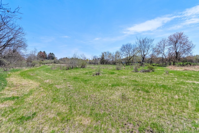 10880 S Francis Rd, Dewitt, MI 48820