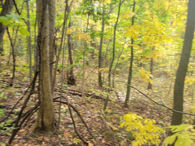 74032 Ridgeway Dr, Lawton, MI 49065 - photo 2