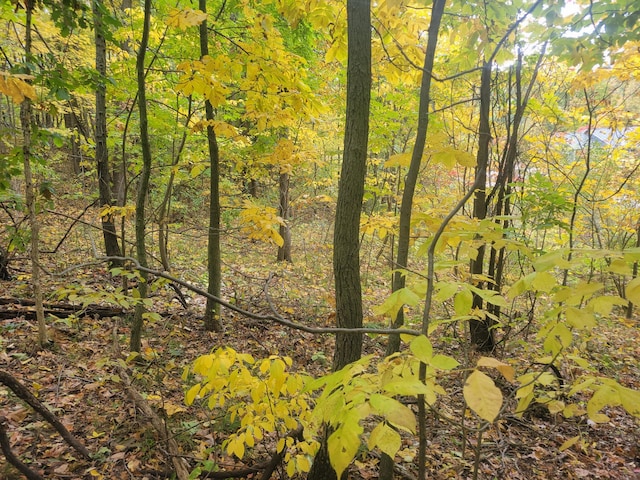 74032 Ridgeway Dr, Lawton, MI 49065 - photo 4