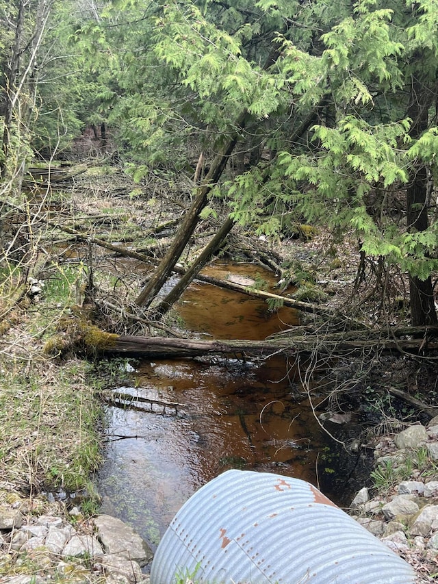 A Old M-63, Luther, MI 49656