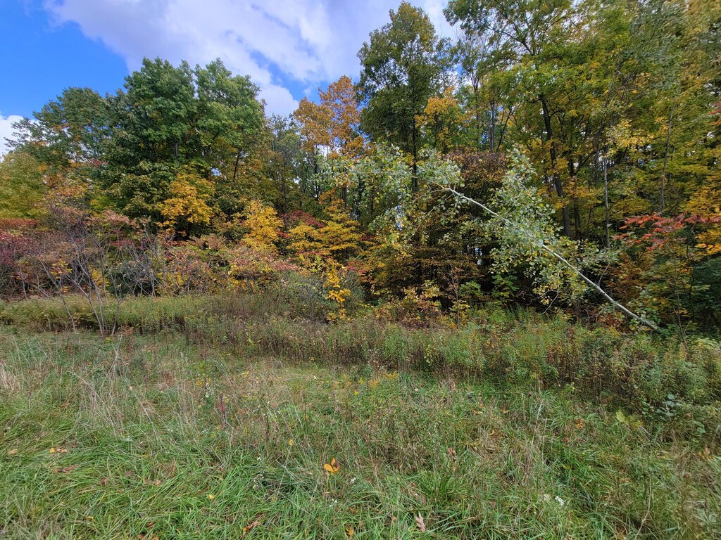 74066 Ridgeway Dr, Lawton, MI 49065 - photo 4