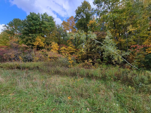 74066 Ridgeway Dr, Lawton, MI 49065 - photo 4
