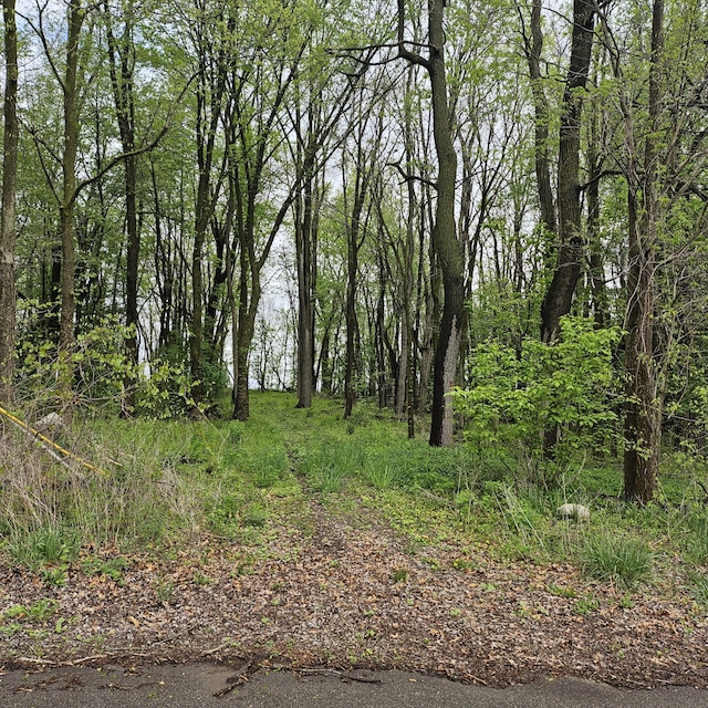Rook St, Battle Creek, MI 49014