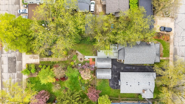 bird's eye view