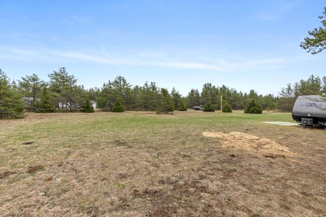 880 W Dusty Rd, Irons, MI 49644
