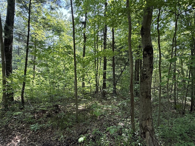 0 Austin Rd, Twin Lake, MI 49457 - photo 4