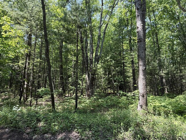 0 Austin Rd, Twin Lake, MI 49457 - photo 5