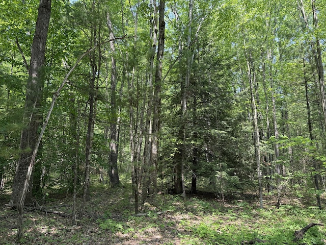 0 Austin Rd, Twin Lake, MI 49457 - photo 6