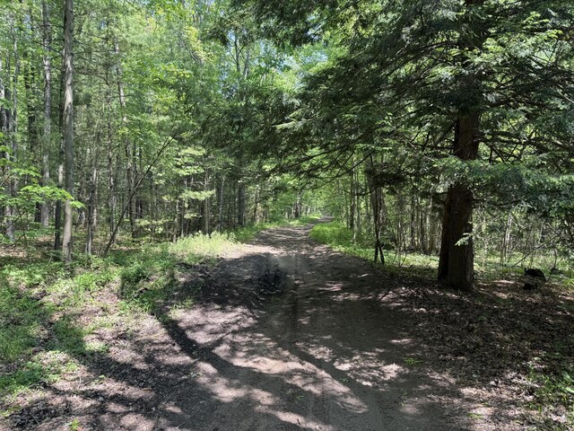 0 Austin Rd, Twin Lake, MI 49457 - photo 8
