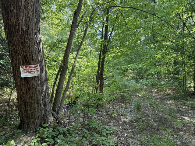 0 Austin Rd, Twin Lake, MI 49457 - photo 9