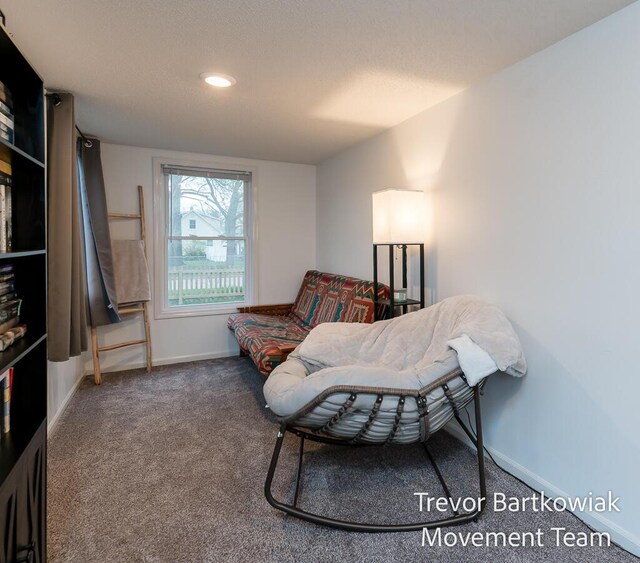 living area with baseboards, carpet flooring, and recessed lighting