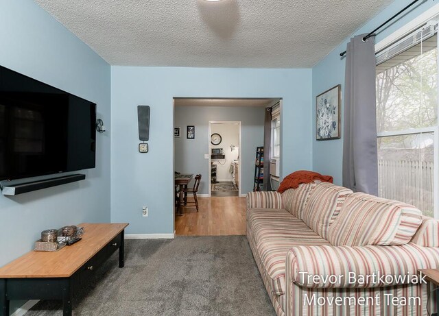 carpeted living area with baseboards and a textured ceiling