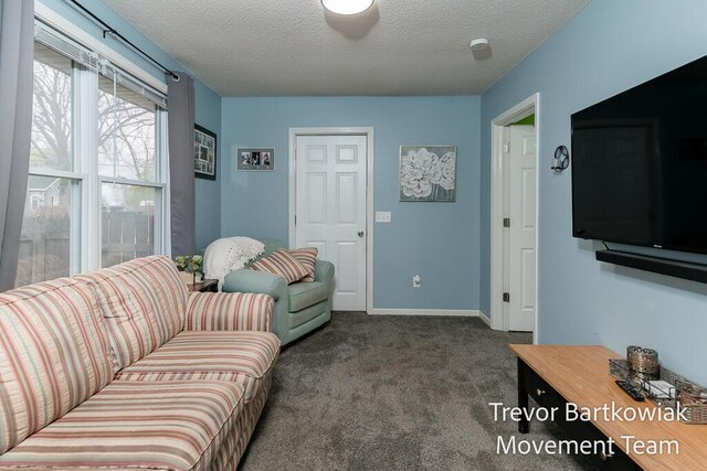 carpeted living area with baseboards and a textured ceiling