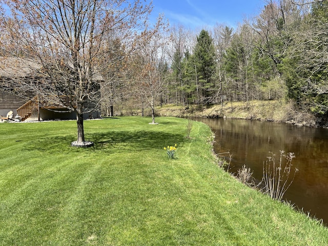 6425 S Taylor Rd, Branch, MI 49402 - view of yard with a water view