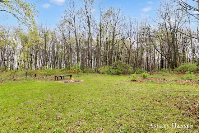 12978 Mason Dr, Grant, MI 49327 - view of yard with an outdoor fire pit