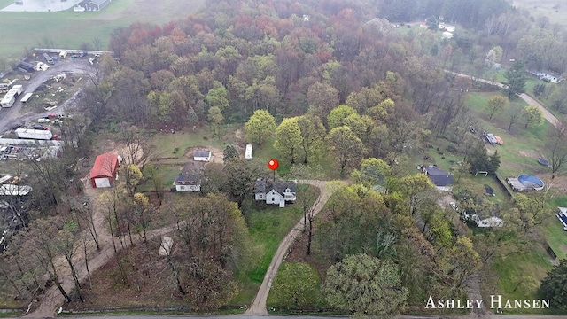 12978 Mason Dr, Grant, MI 49327 - birds eye view of property