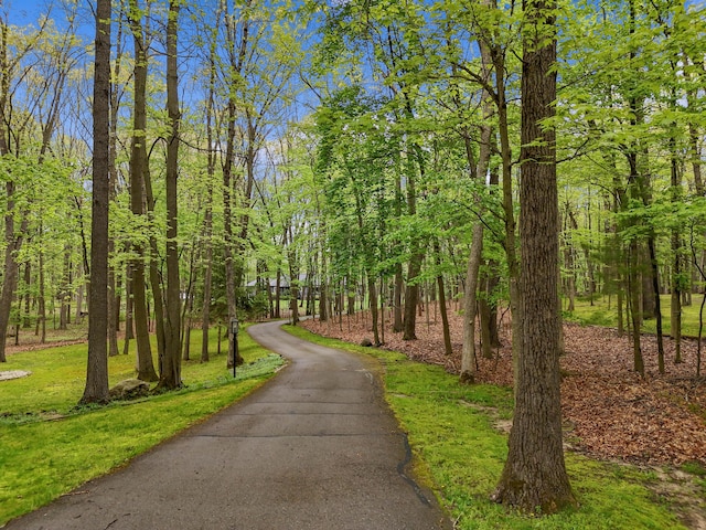326 Greentree Ln NE, Ada, MI 49301 - view of community featuring driveway