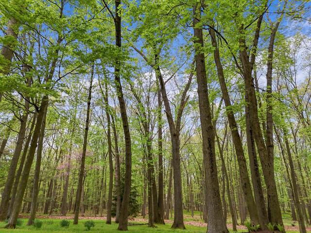 326 Greentree Ln NE, Ada, MI 49301 - view of woods