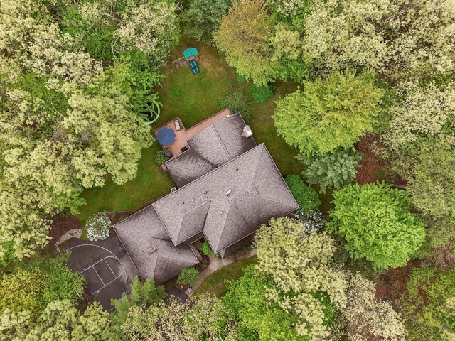 326 Greentree Ln NE, Ada, MI 49301 - drone / aerial view