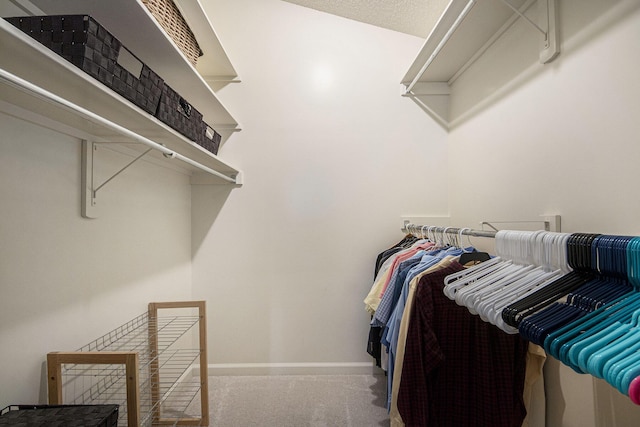 4289 Millpond Dr NE, Rockford, MI 49341 - spacious closet with carpet floors