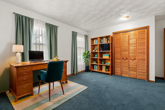 416 Barberry Ave, Portage, MI 49002 - carpeted home office featuring baseboards